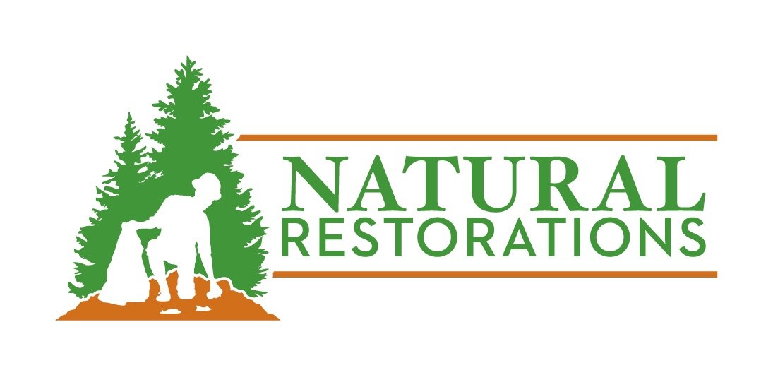 Supporting Natural Restorations: A Community Effort Led by Off-Road Enthusiasts