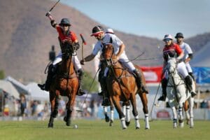 Phoenix Polo Championships Safety Tips