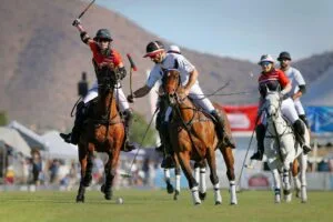 Phoenix Polo Championships Safety Tips