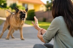 woman being attacked by a dog, wondering what the Arizona dog bite law is